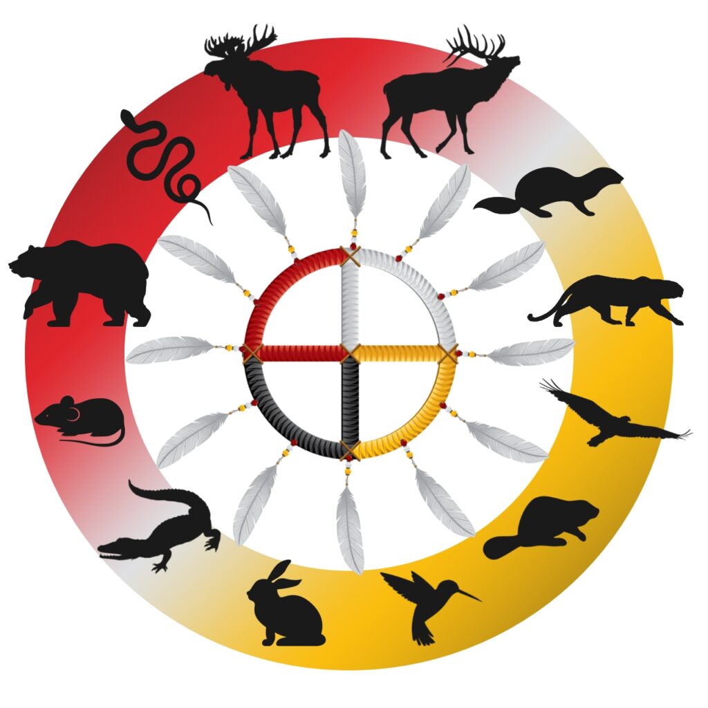 medicine-wheel-native-indian-astrology-astrology-reports